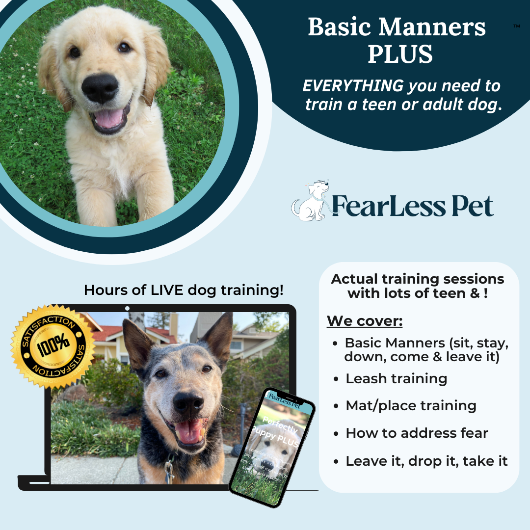Leave the sales leash dog training