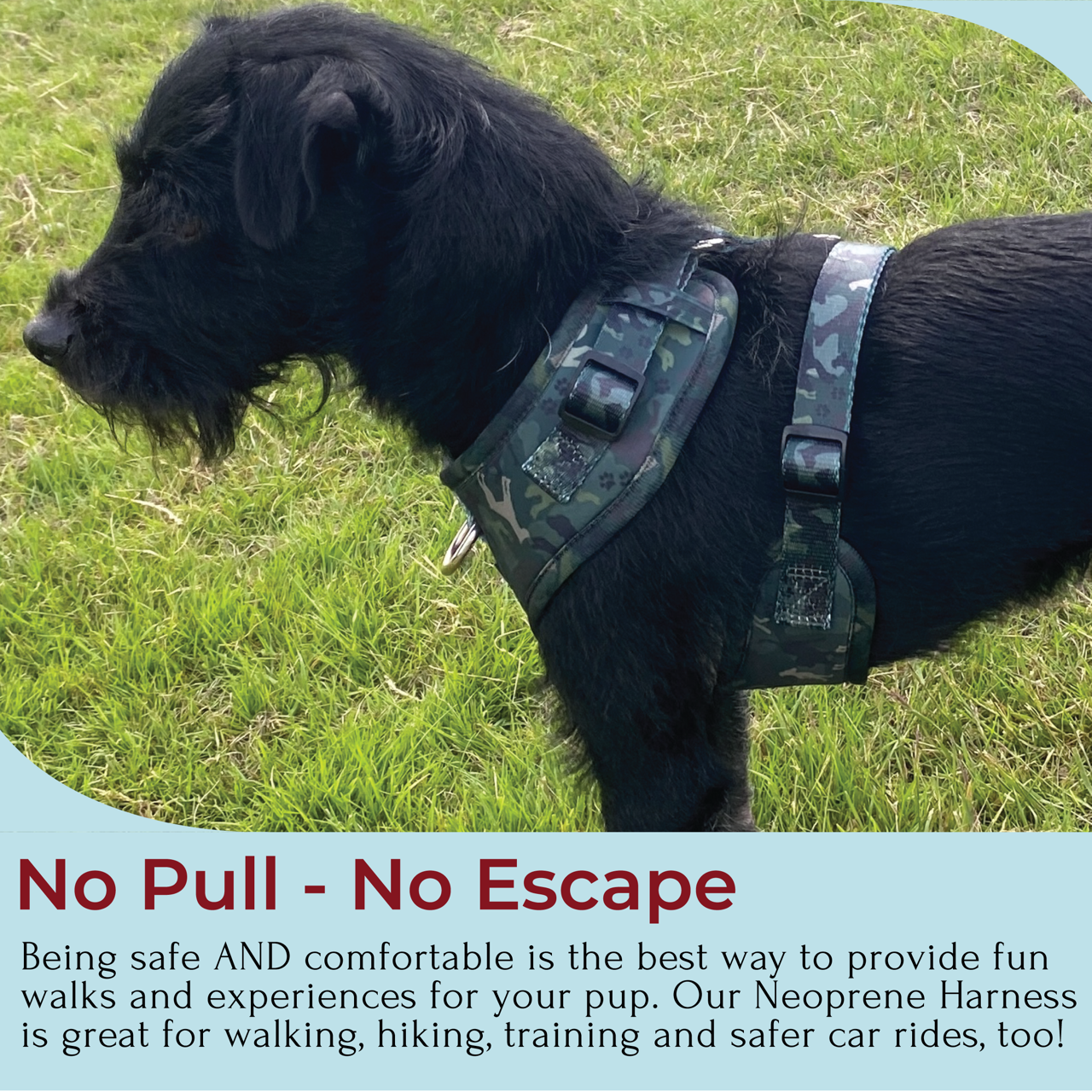 a side photo of a black dog wearing a green camo dog harness against a grassy background. Also shown blue Fram with no pull no escape dog harness explanation 