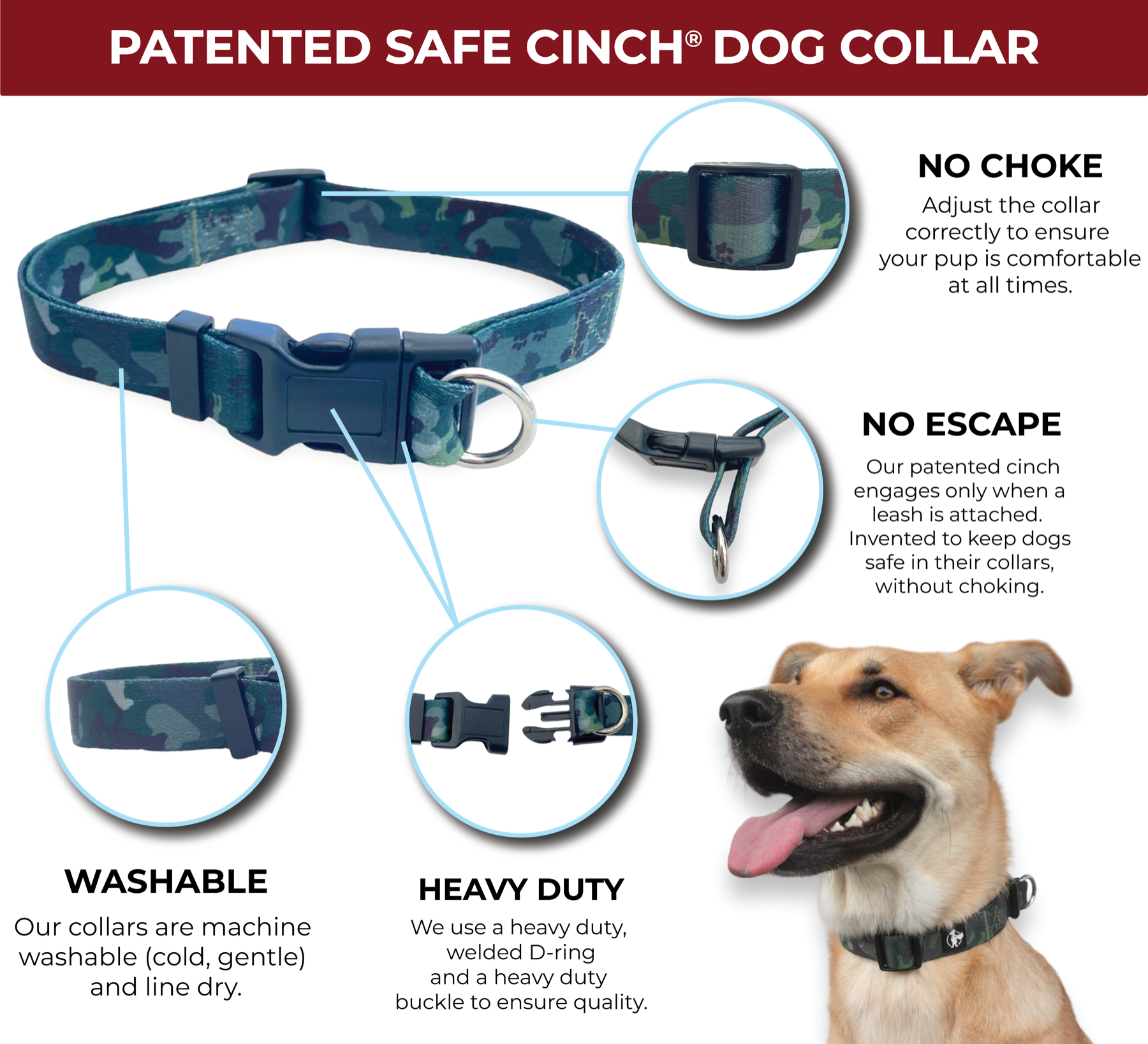 An infographic showing the no choke no escape dog collar features of a safe cinch collar on white background. There are bubbles showing the adjustable and other features of the collar