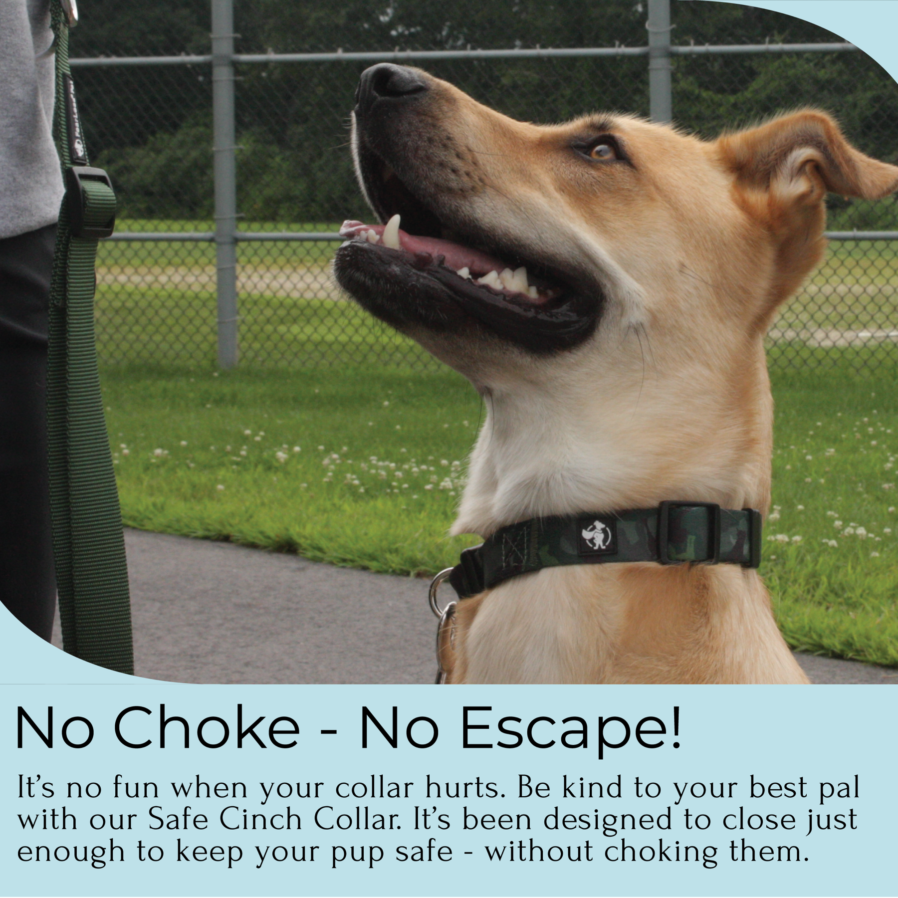 an infographic of a blonde shepherd dog wearing a green camouflage collar with a fearless pet logo. Text below explains the no choke no escape dog collar 