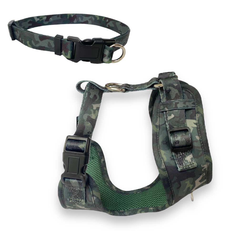 Neoprene Harness + FREE Collar Bundle