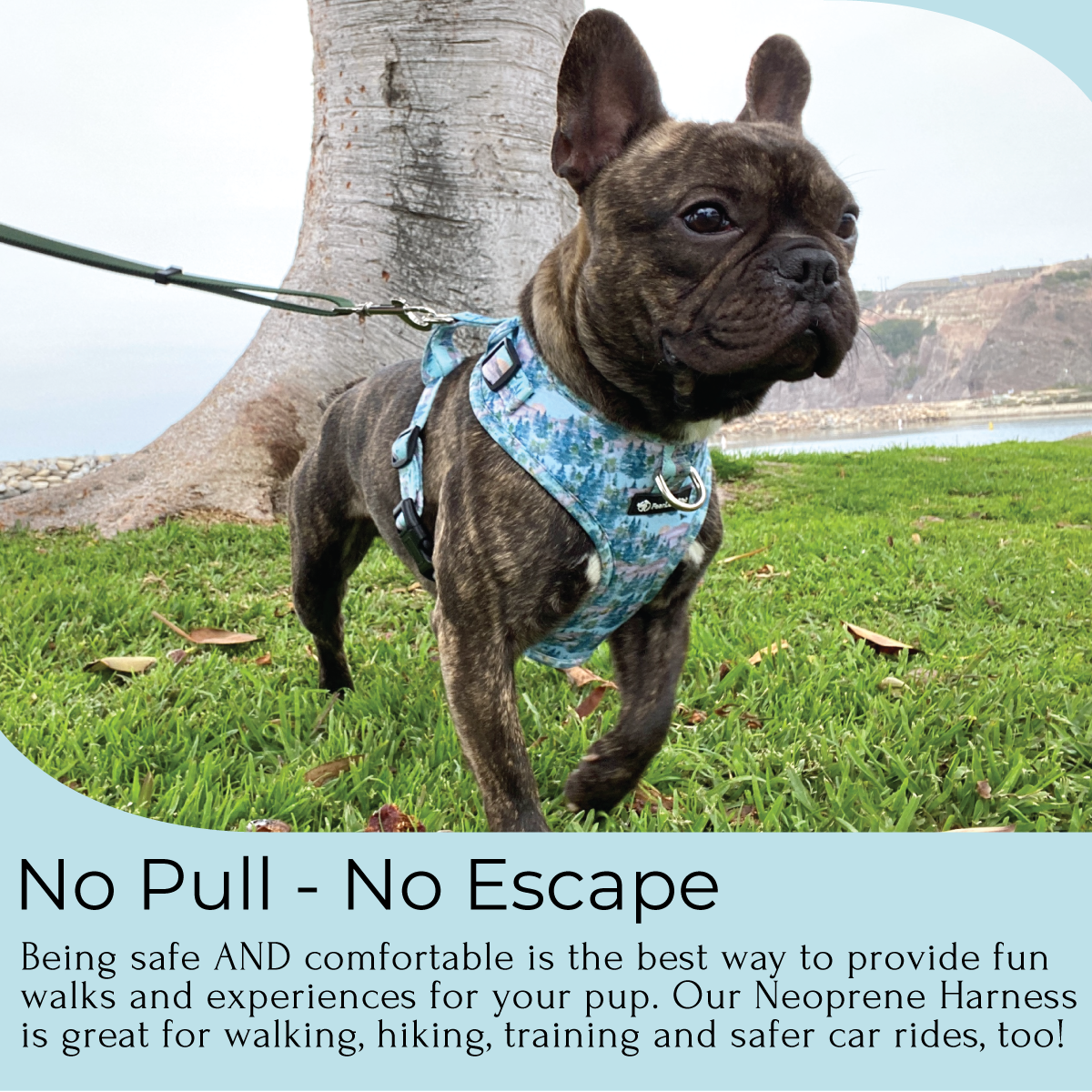 a photo a brindle French bulldog modeling a mountains theme dog harness by fearless pet