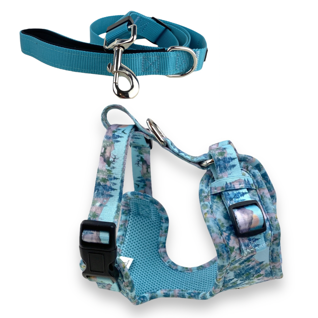 a product photo on a white background of a neoprene no pull dog harness in a forest mountain pattern and a solid teal blue adjustable dog Leash from fearless pet