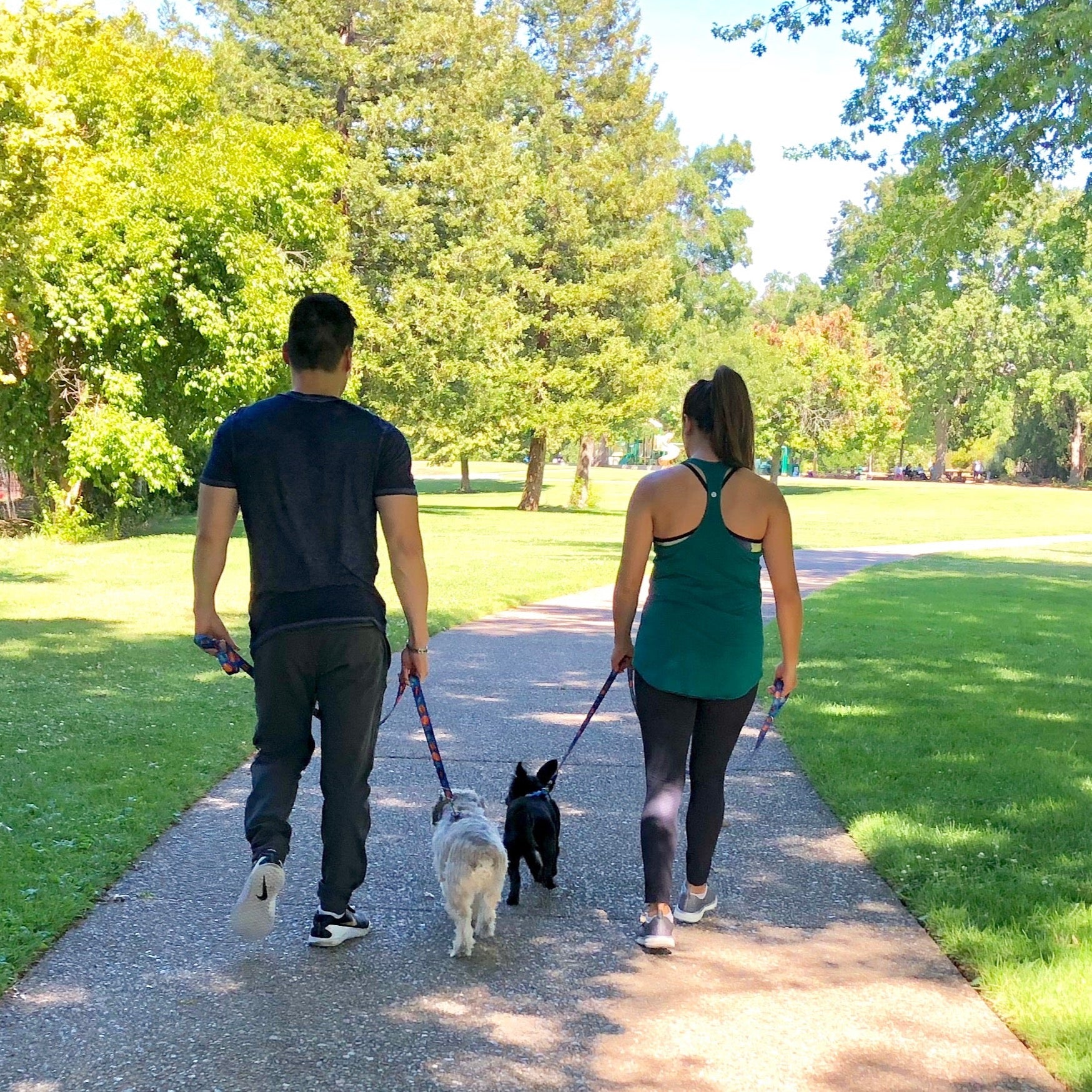 a photo of the back of a young couple walking their two dogs on a pathway in a park