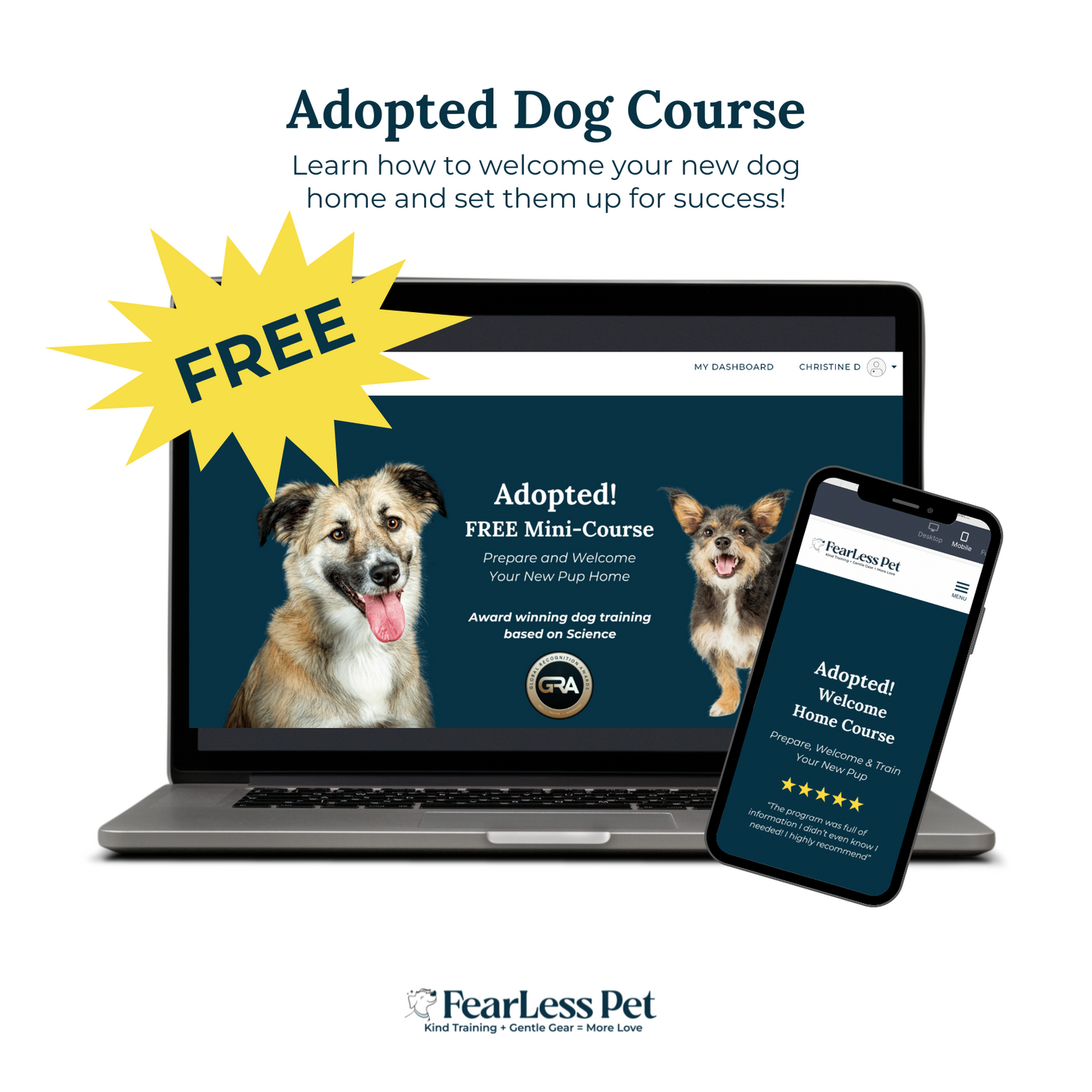 FREE - Adopted Mini-Course