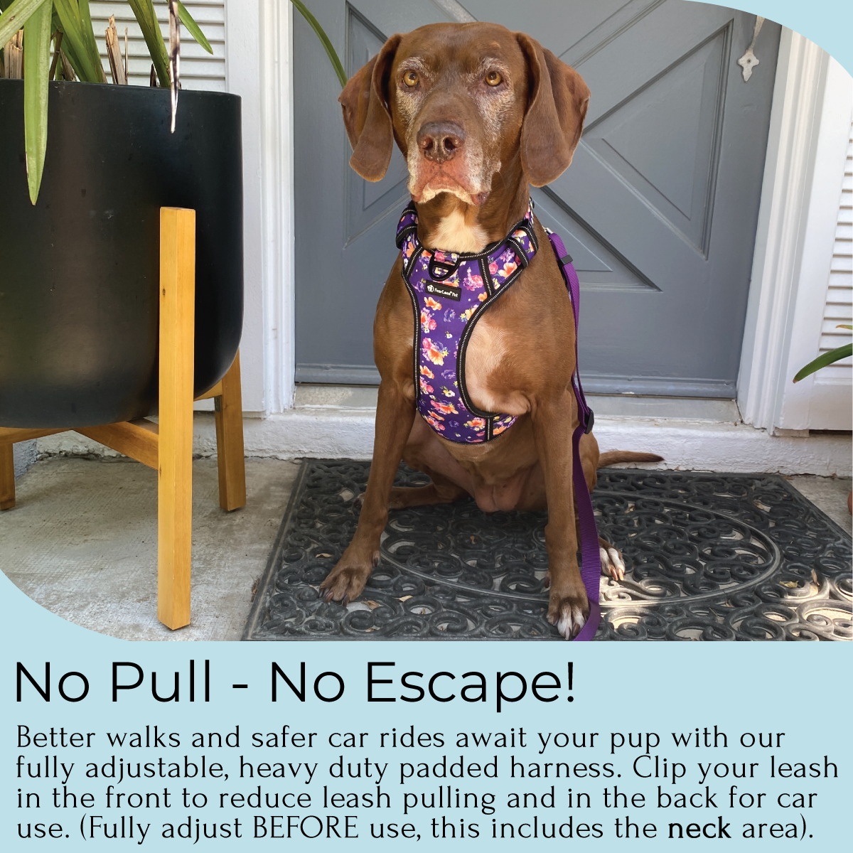 an infographic for a purple floral no escape dog harness for medium and large dogs by fearless pet it is also no pull and explained in the text