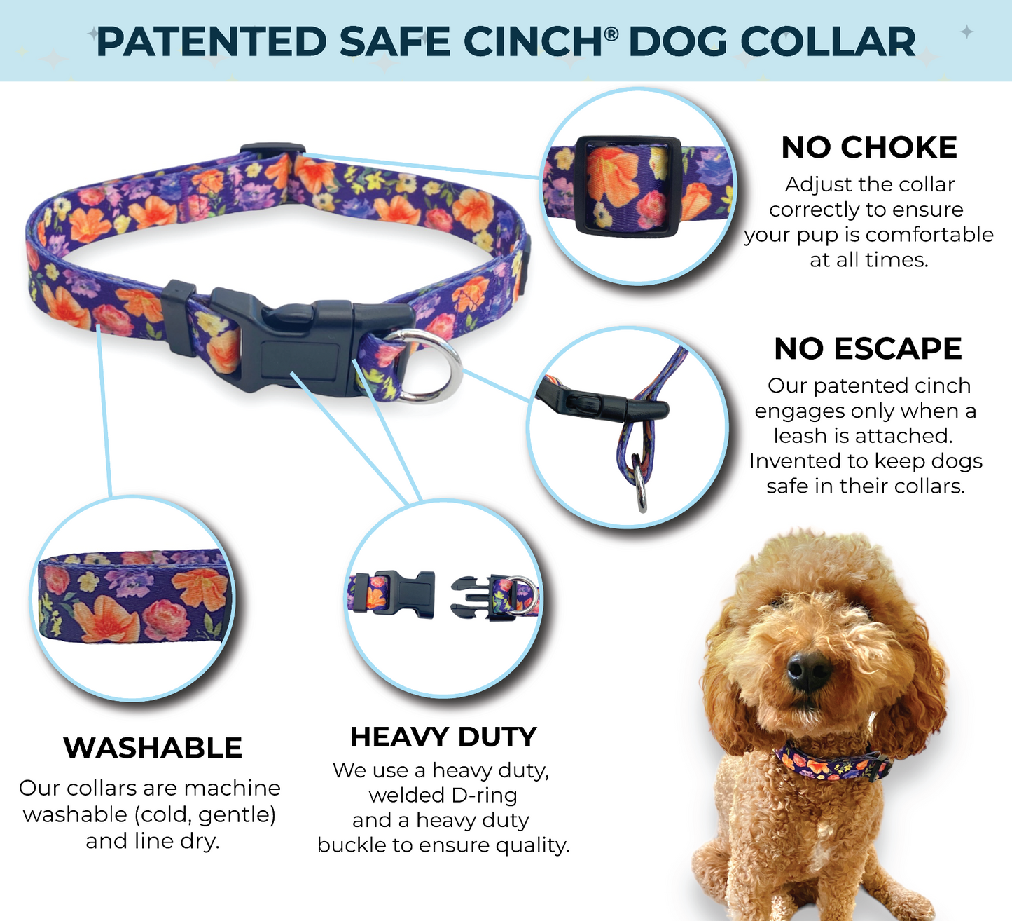an infographic of a safe cinch collar by fearless pet showing its features an escape proof dog collar for all size dogs
