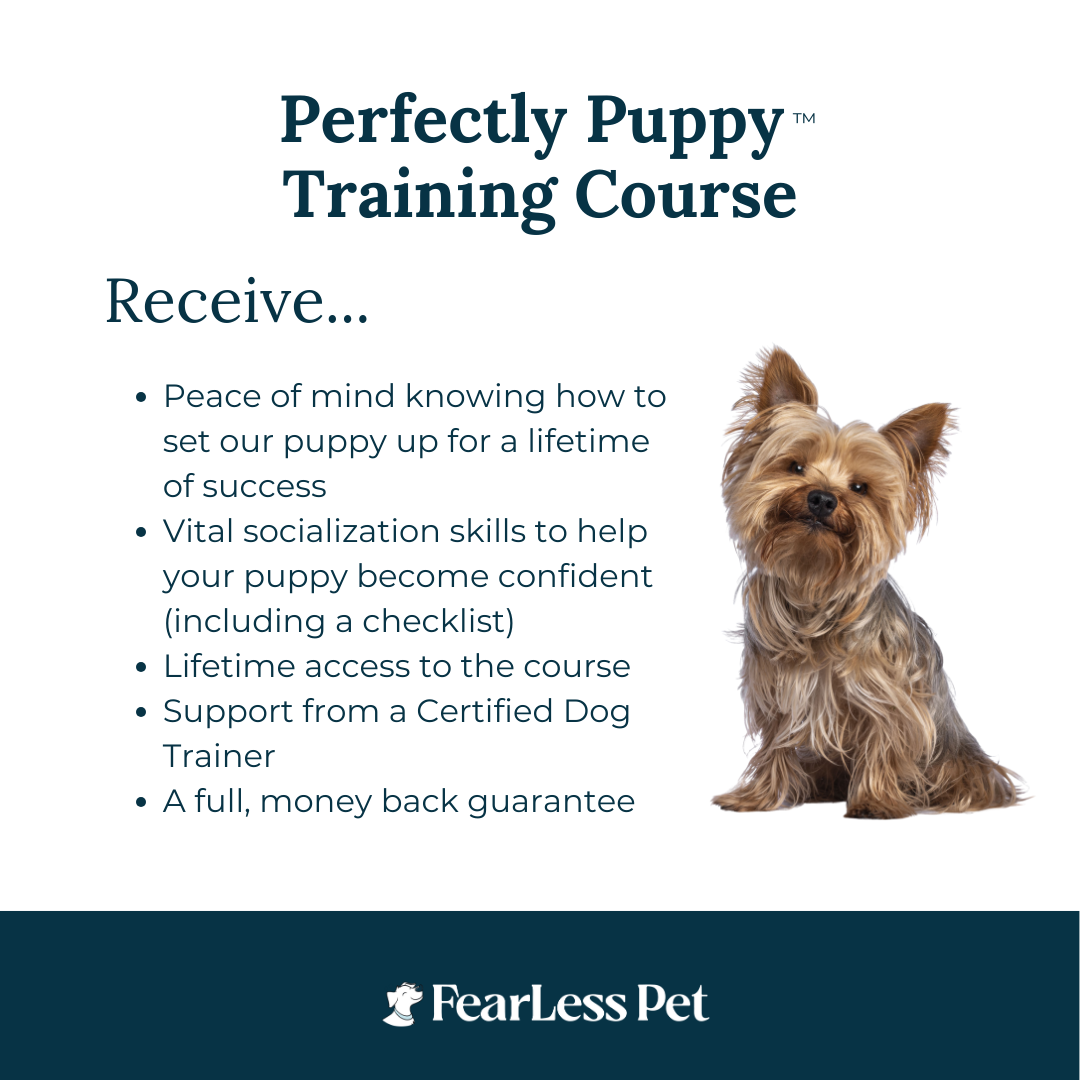 a list of things you will receive in an online puppy training class from fearless pet