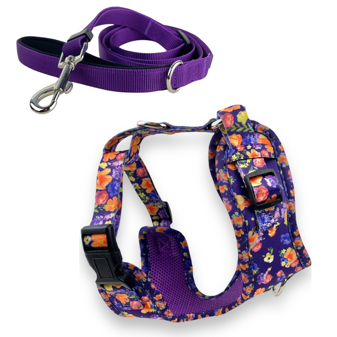 a product photo on a white background of a neoprene no pull dog harness in a purple floral pattern and a solid purple adjustable dog Leah