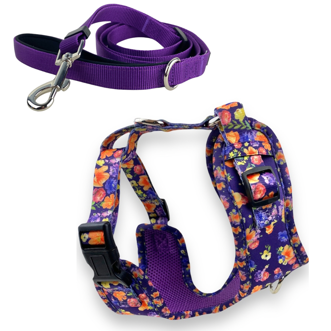 a photo of a harness and leash set from fearless pet the leash is purple and the no pull dog harness is purple with flowers