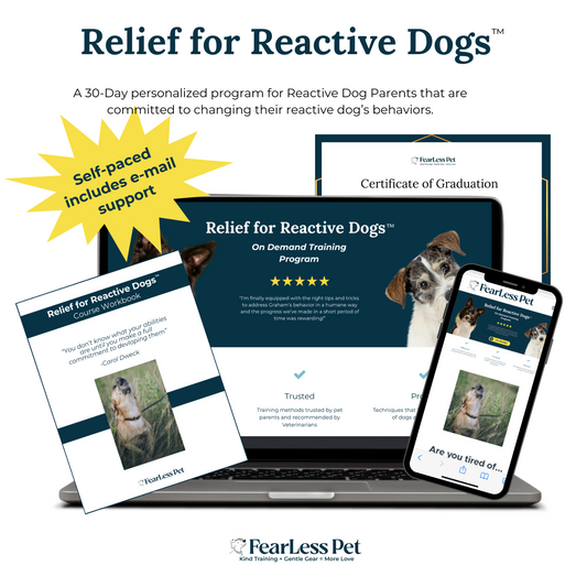 an image of a reactive dog training course from fearless pet called relief for reactive dogs