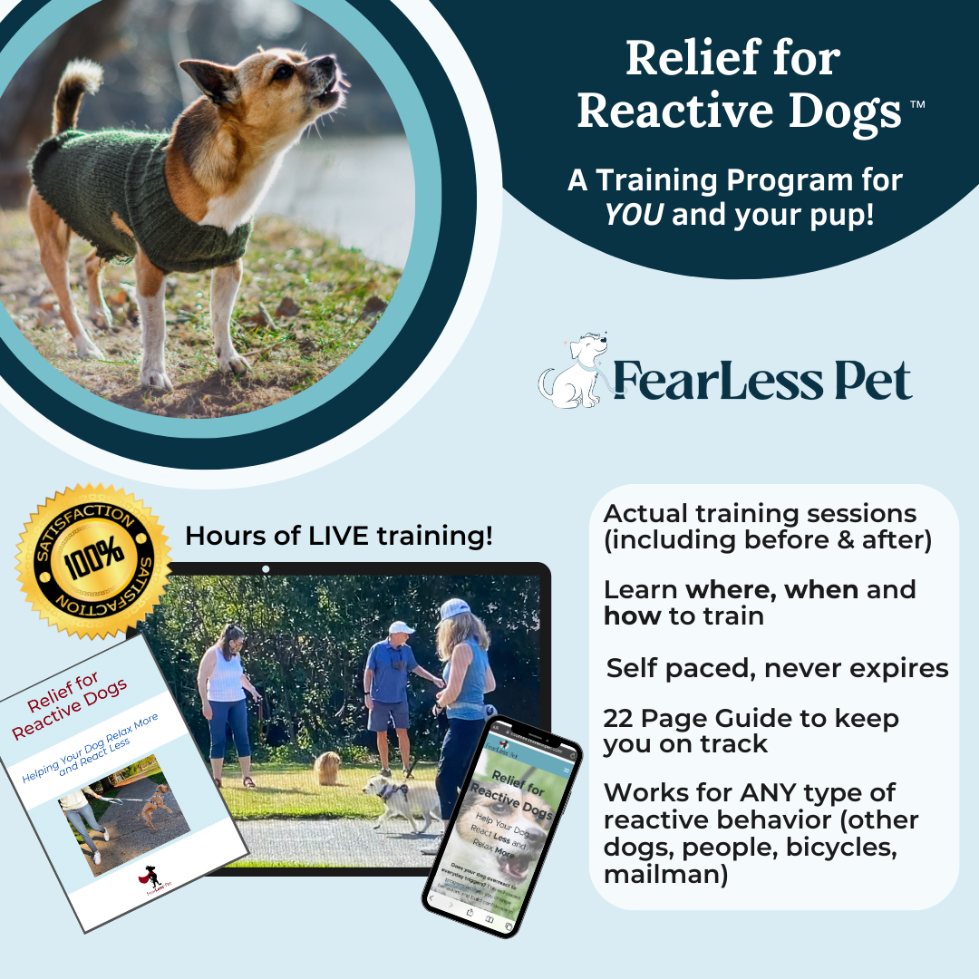 an infographic for reactive dog training online class by fearless pet to help people change their dogs from barking to quiet