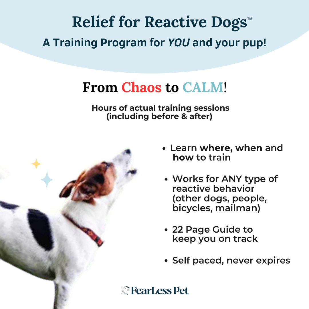 an infographic for a reactive dog training class by fearless pet for teaching people how to manage their reactive dog's behaviors of barking and lunging. the program covers how to stop dogs from reacting without using force or fear