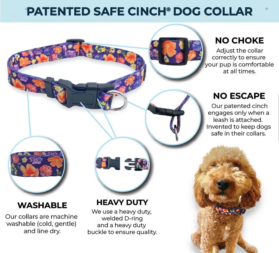 an infographic showing the parts of an escape proof dog collar from fearless pet called the safe cinch collar