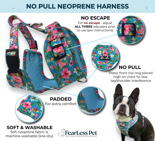 an infographic of a teal blue floral harness by fearless pet showing the no escape no pull harness features 