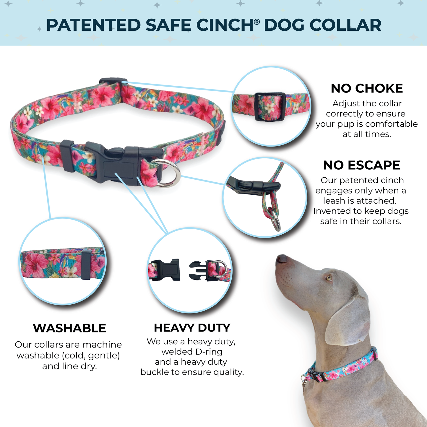 an infographic for a safe cinch collar fearless pet showing it includes a no escape collar feature