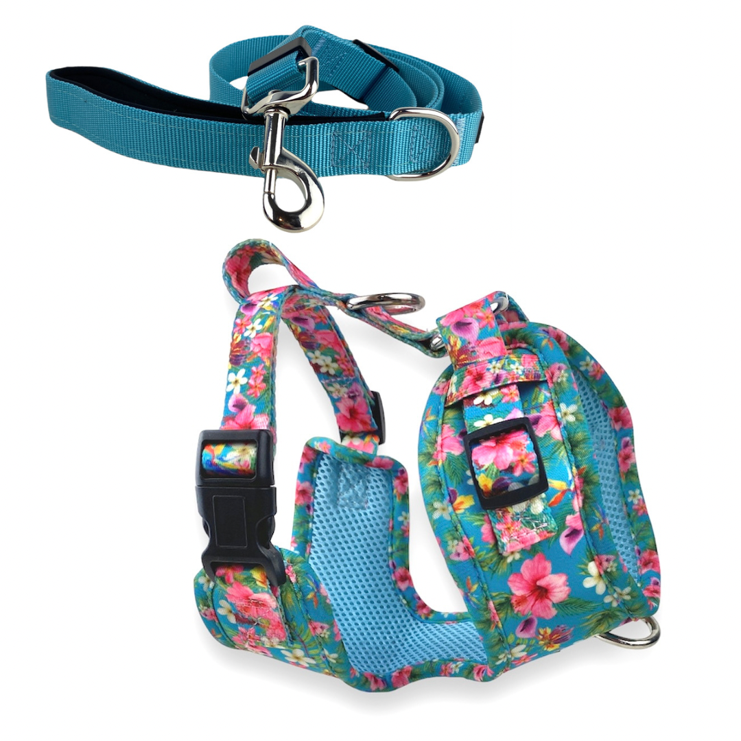 a product photo on a white background of a neoprene no pull dog harness in a teal floral pattern and a solid teal blue adjustable dog Leash from fearless pet