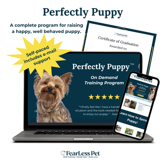 an infographic for a puppy training program from fearless pet called perfectly puppy