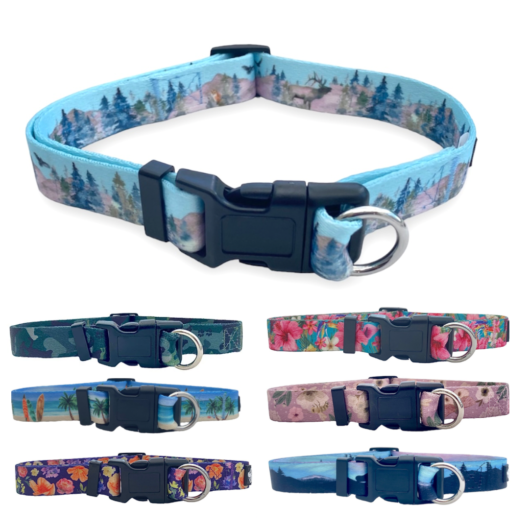 Safest dog outlet collar