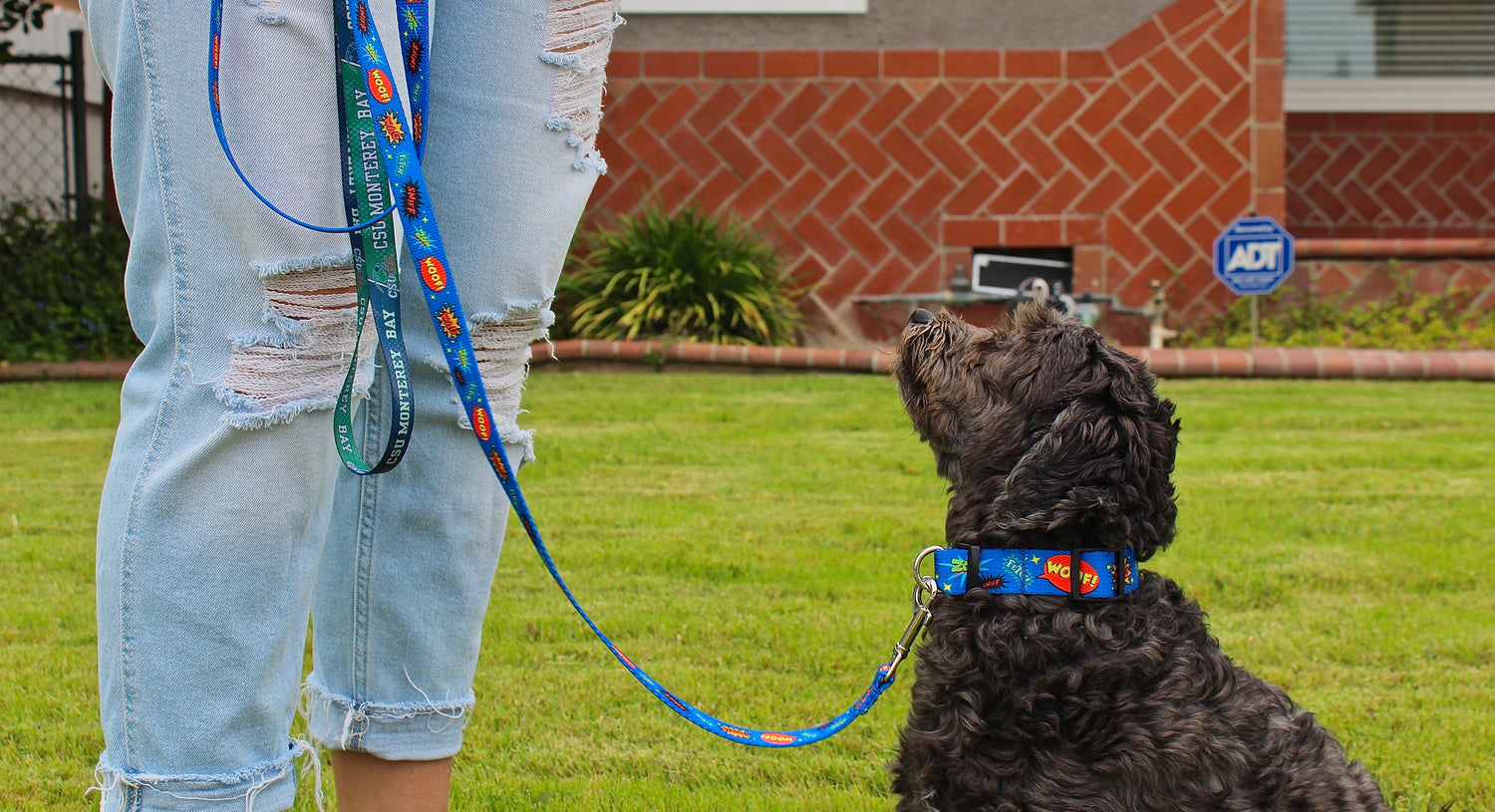 Video About The Safe Cinch Collar by FearLess Pet