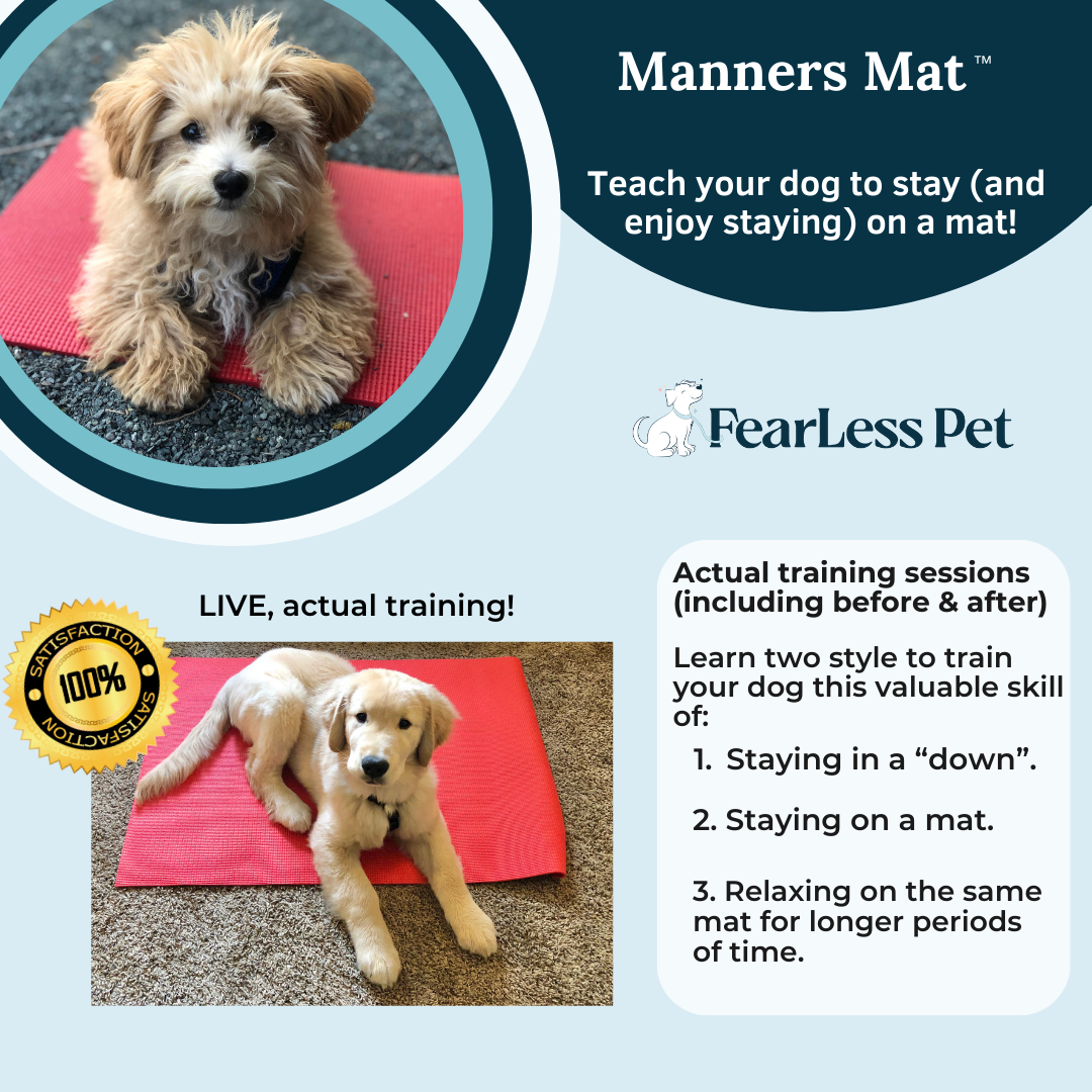 an infographic for a manners mat training program from fearless pet