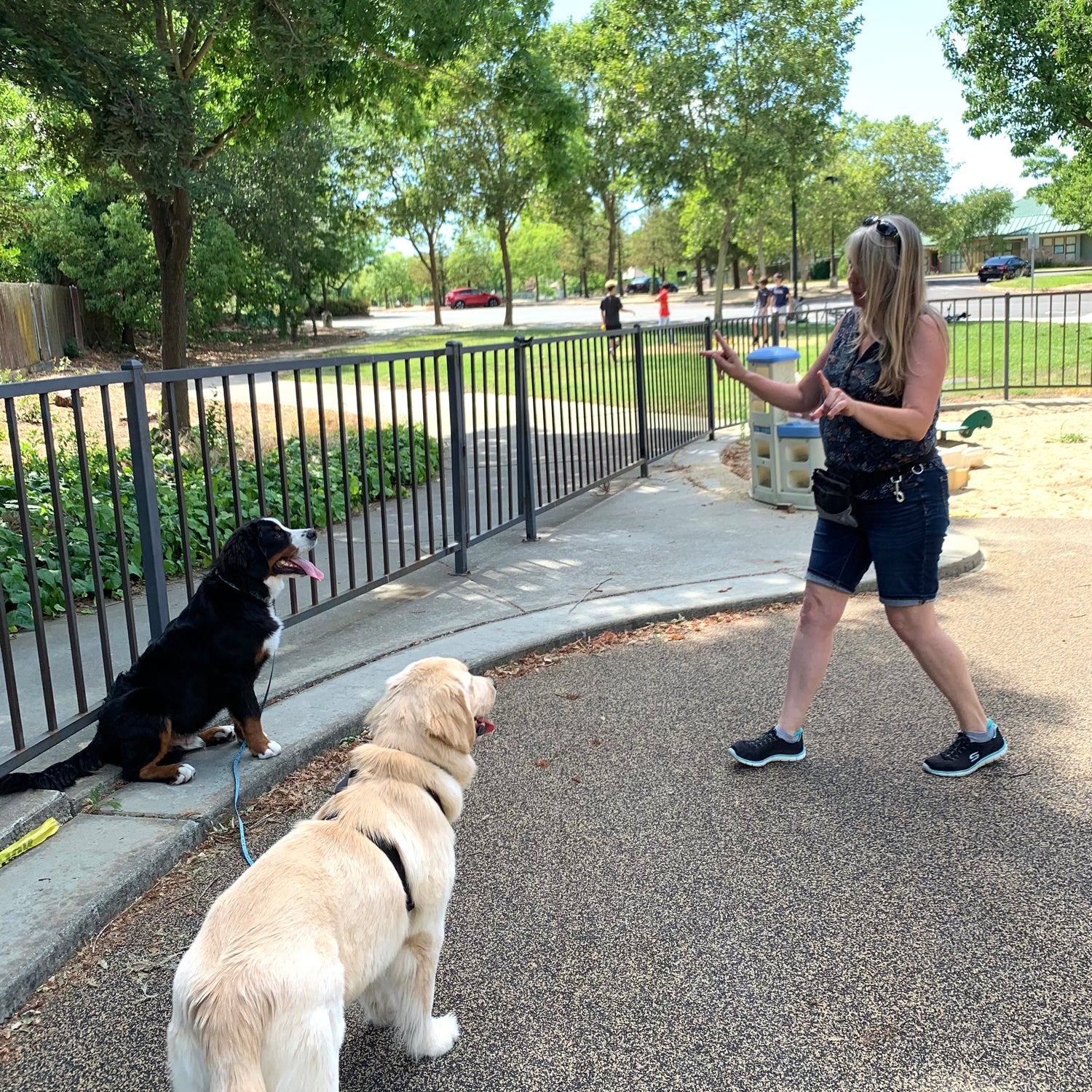 Expert Dog Park Course