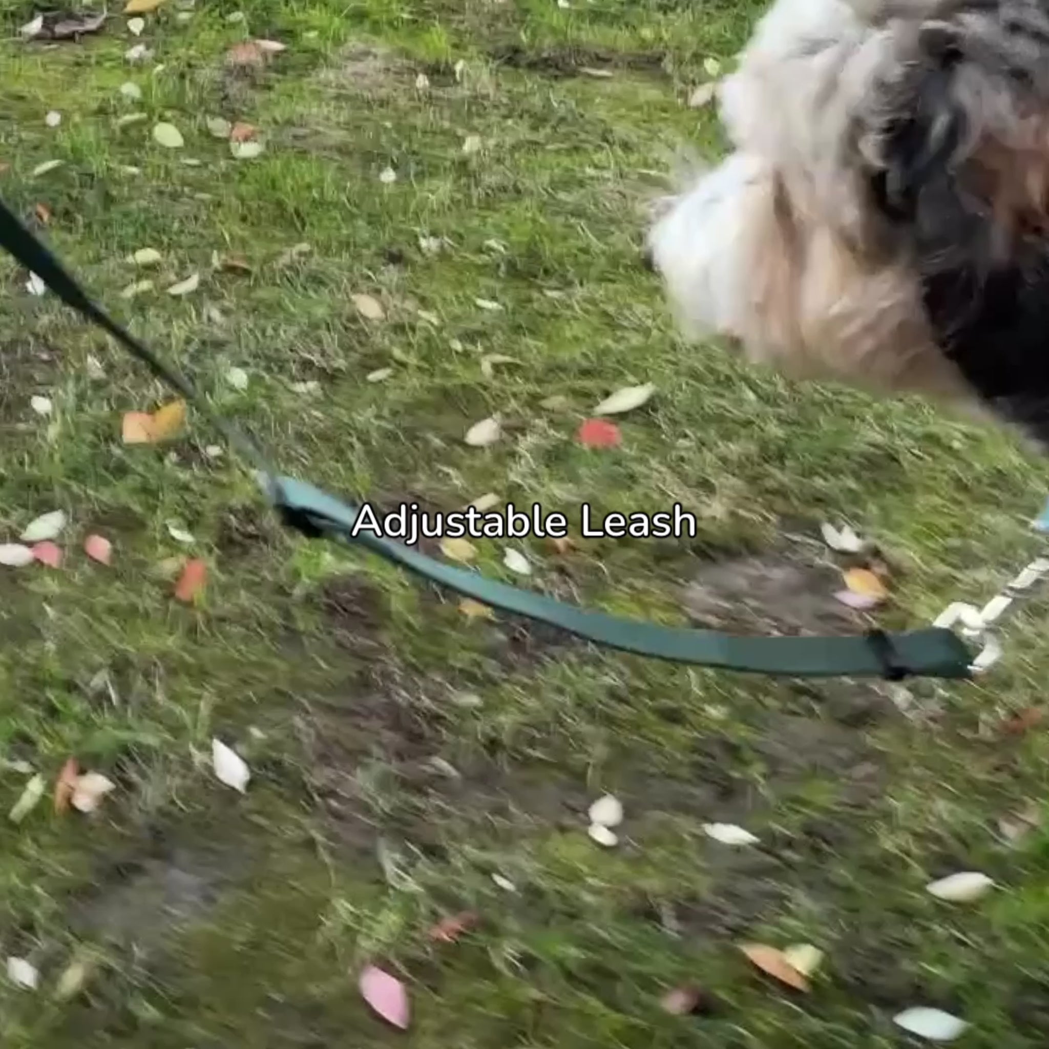 a video demonstrating an adjustable leash from fearless pet it shows it adjusting from 3 to 6 feet and the padded handle