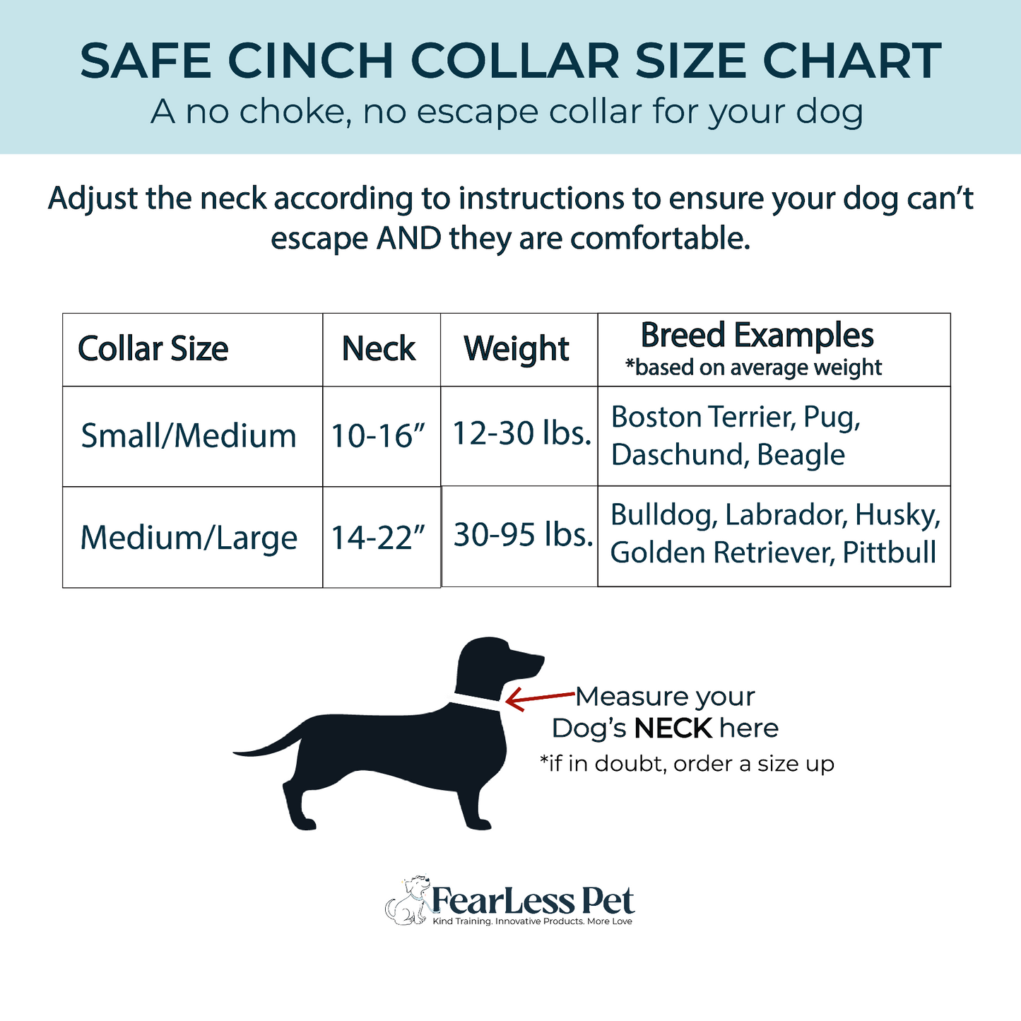 Neoprene Harness + FREE Collar Bundle
