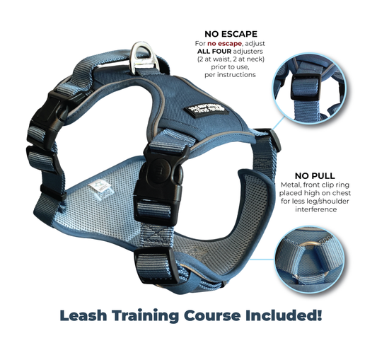 50% off! Walk Star Dog Training Harness