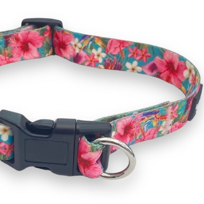 a close up photo of a hawaiian floral print dog collar by fearless pet