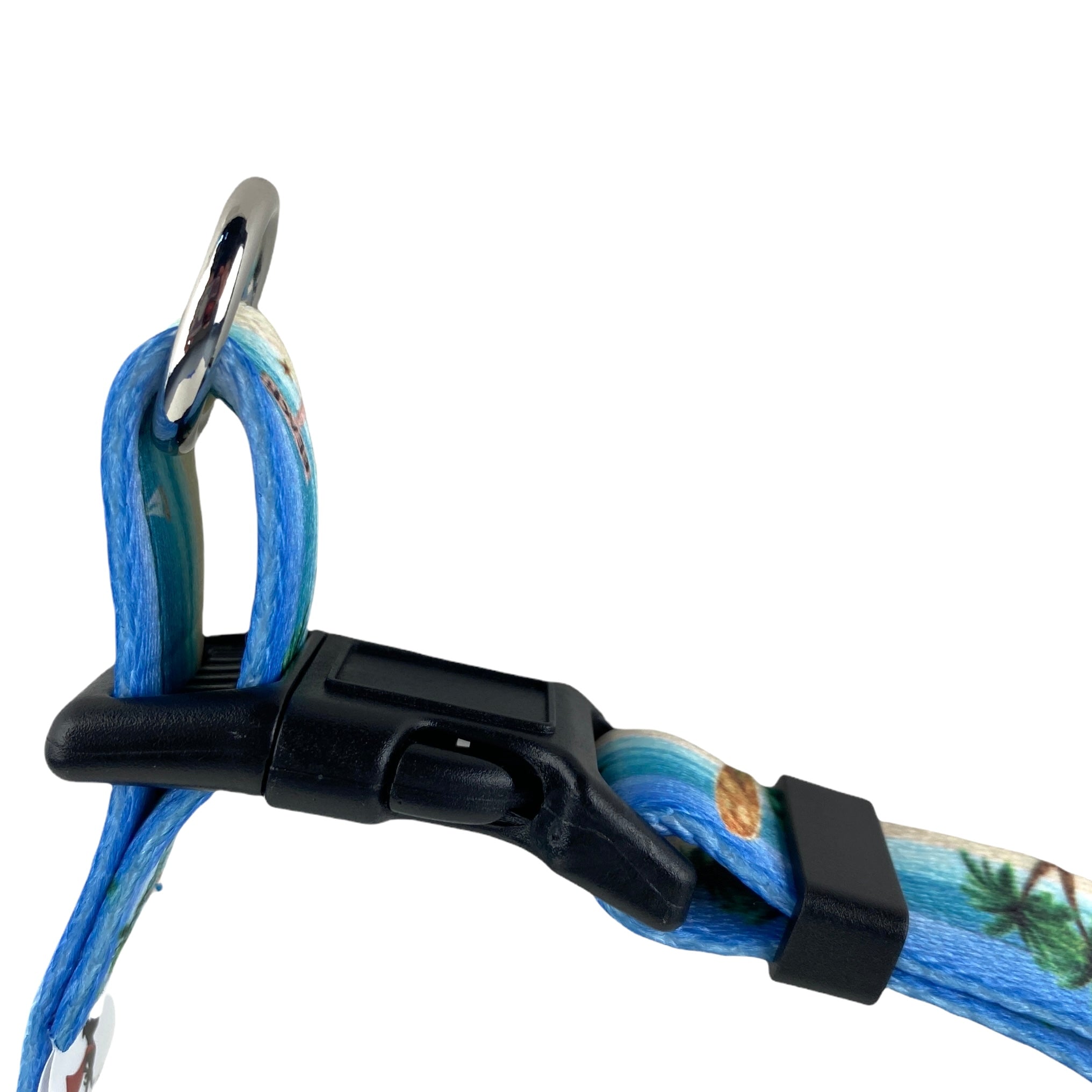 Kavu dog collar best sale