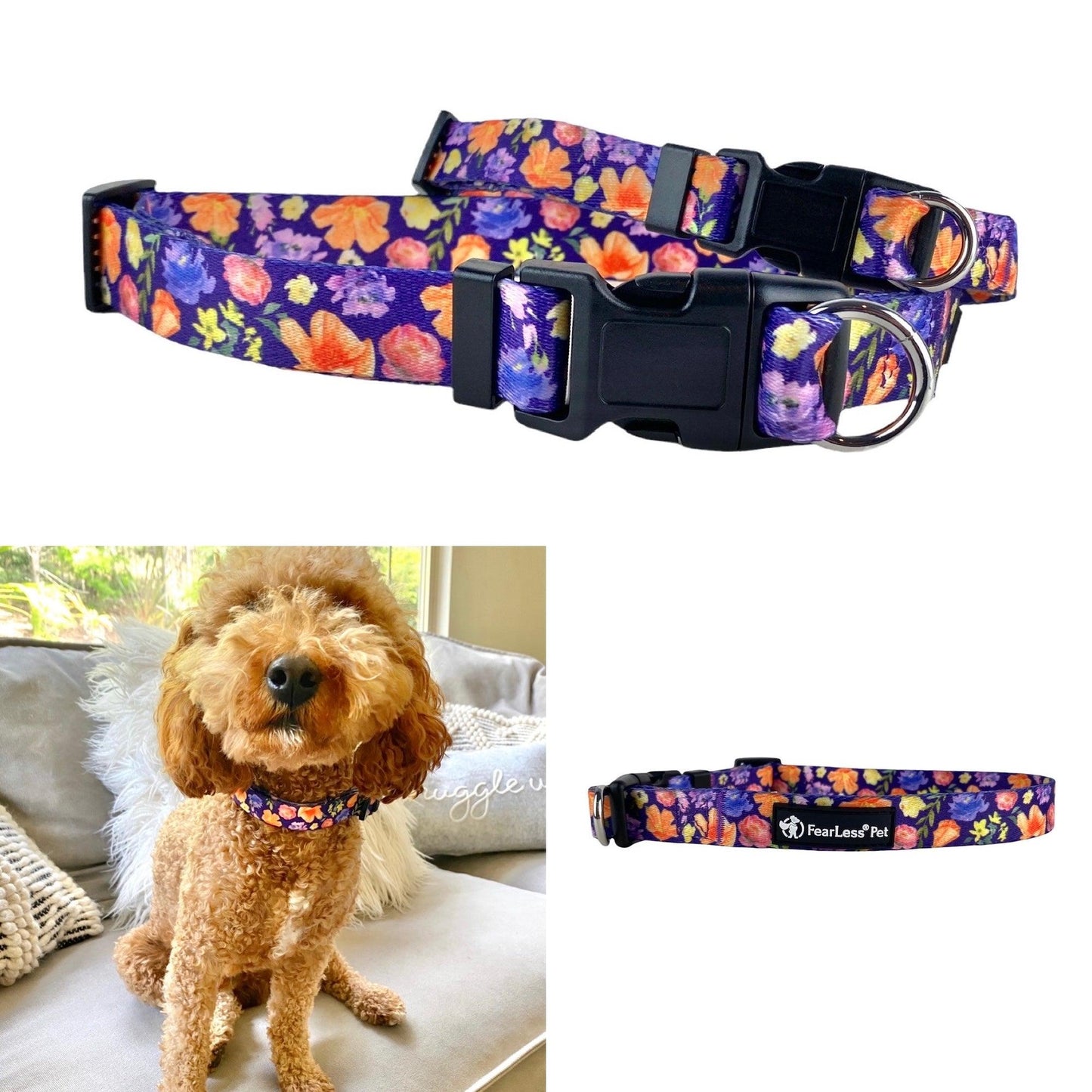 NEW! Safe Cinch Collar, No Escape No Choke Dog Collar by Fearless Pet - Purple Poppies - FearLess Pet