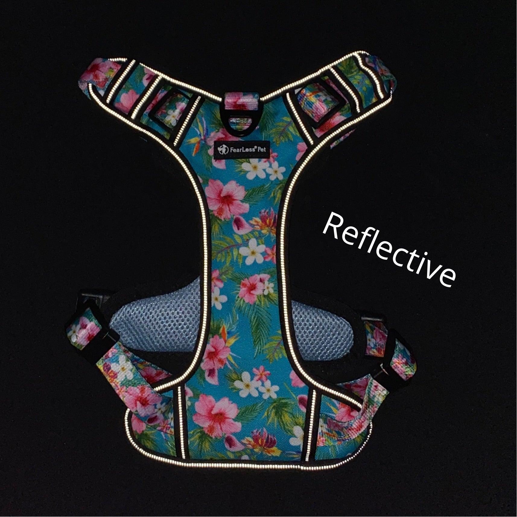 photograph demonstrating reflective trim of a blue Hawaiian floral harness from fearless pet