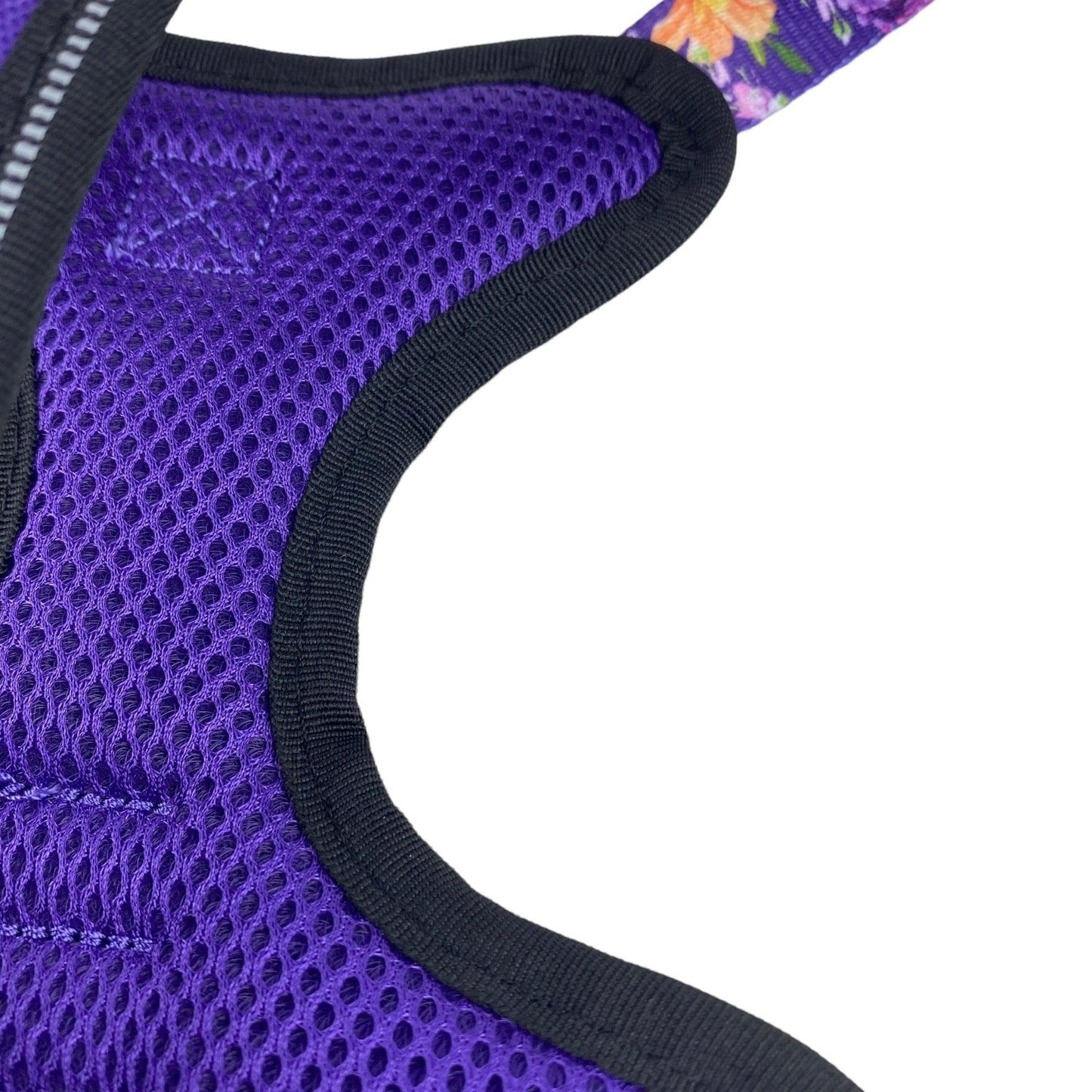 close up photo of a padded dog harness by fearless pet in purple