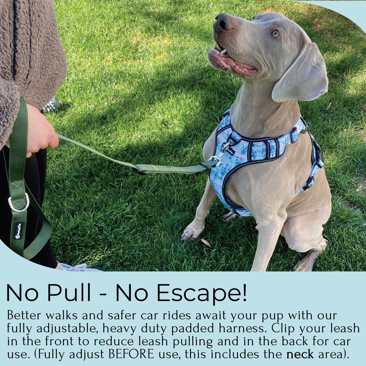 a photo of a grey Weimaraner wearing a beach print heavy duty harness below photo is a caption explaining the benefits of the no pull no escape harness