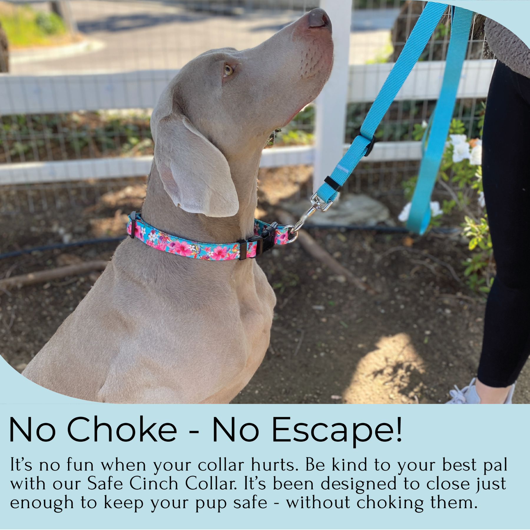 Non choke top chain collar