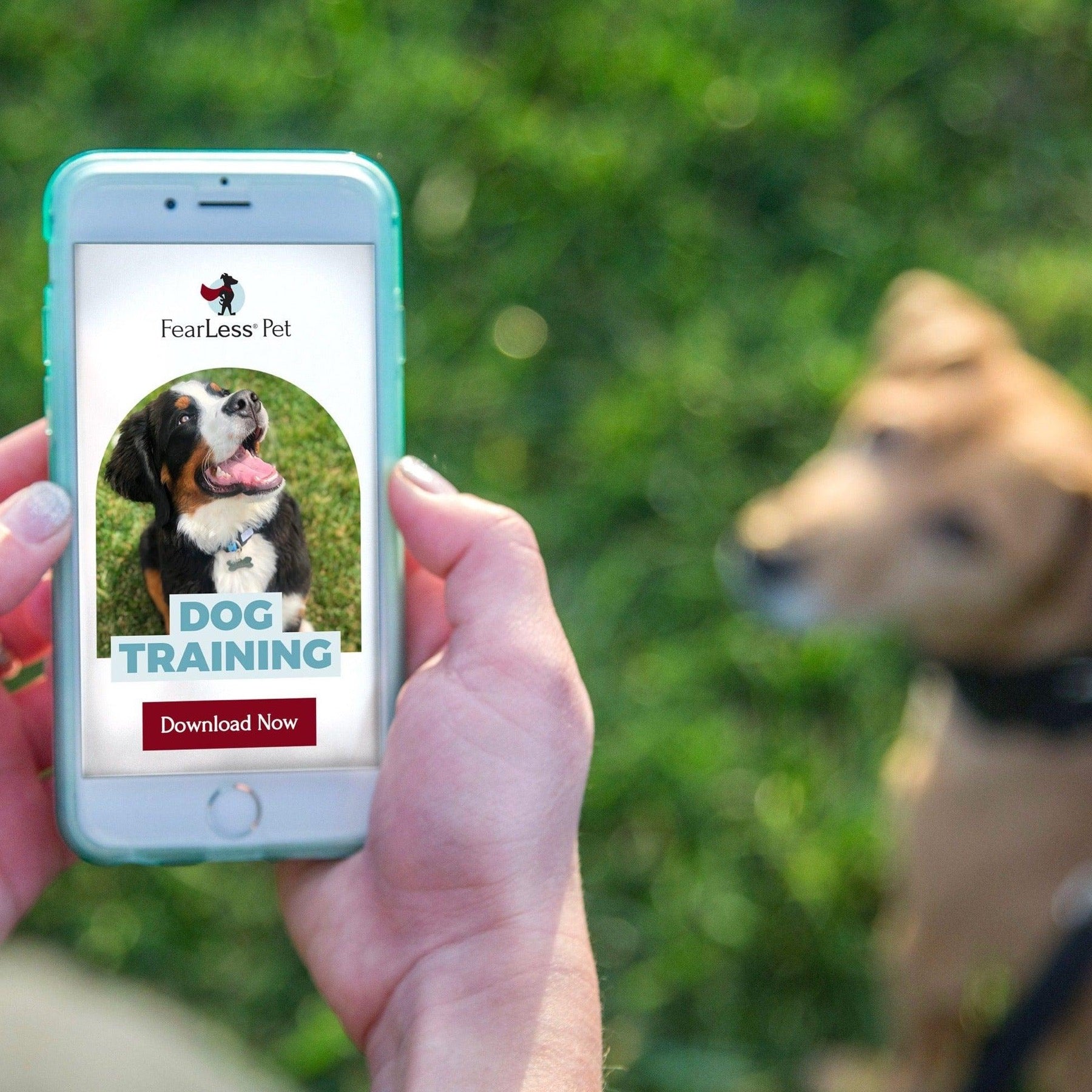 A photograph of a phone with a Fearless Pet Dog training program on the screen