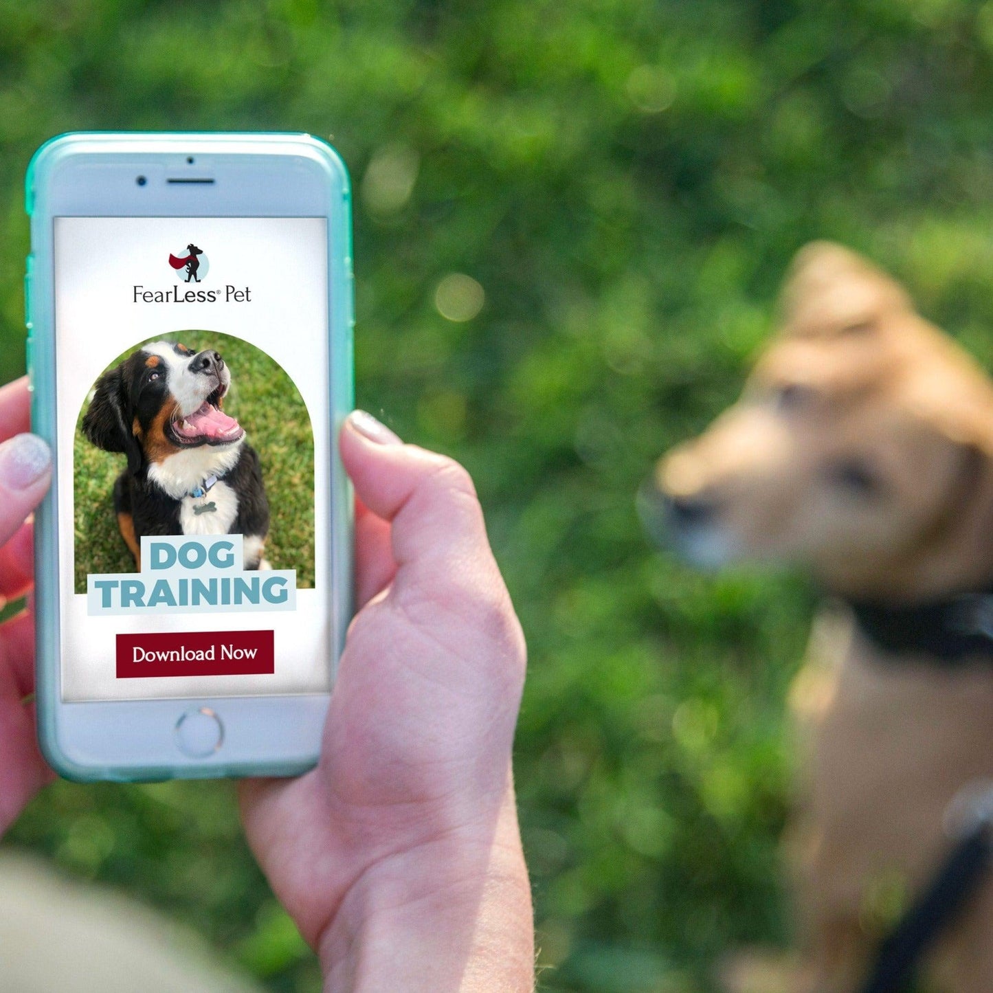 a photo of a cell phone with dog training online and a dog in the background